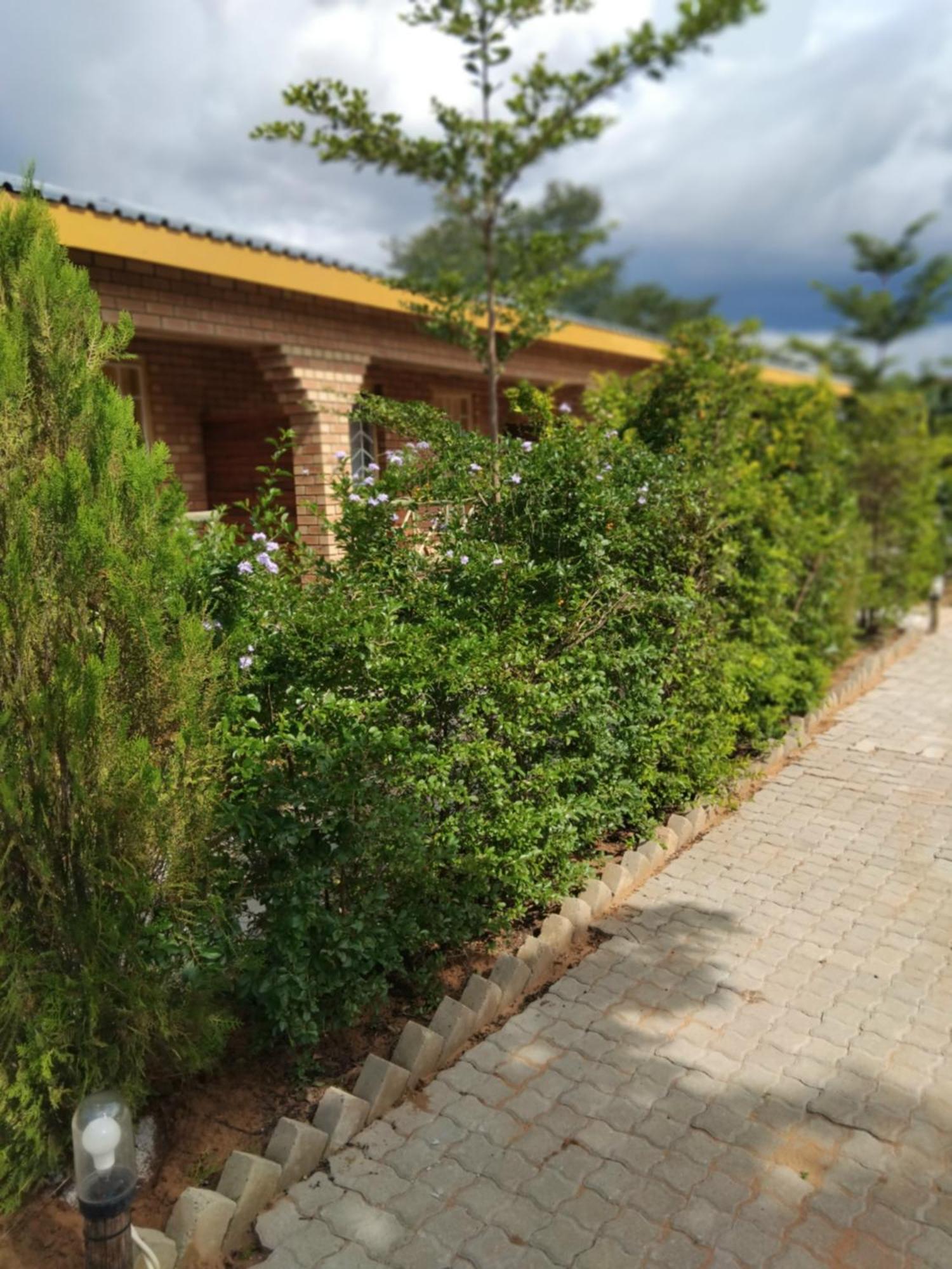Sunshinevibe Guest House Kasane Ngoại thất bức ảnh